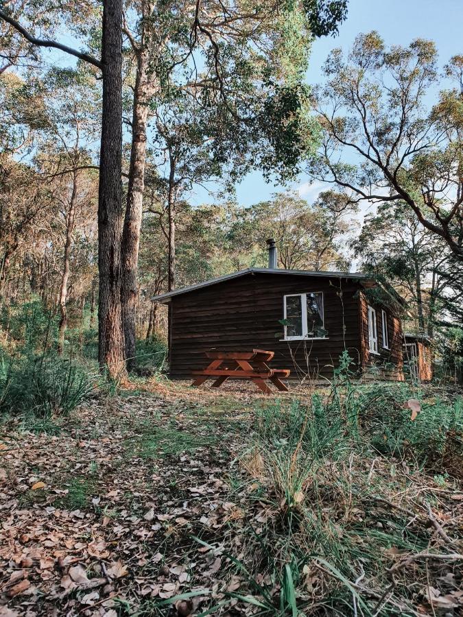 فيلا دنماركفي Gum Grove Chalets المظهر الخارجي الصورة